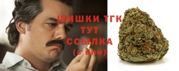 ешки Аркадак